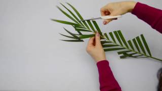 Ikebana Tips by Junko 16 more fun modifying leaves [upl. by Tammy]