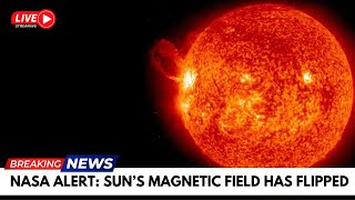 Top NASA Scientist Reveals the SUNS SHOCKING Magnetic Flip Secret [upl. by Moishe180]