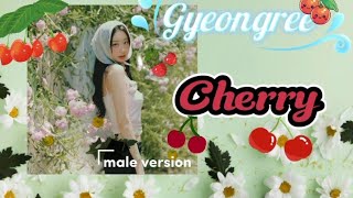 Gyeongree  Cherry  Eternal Bloom  male version  labelsayu [upl. by Adnarym]