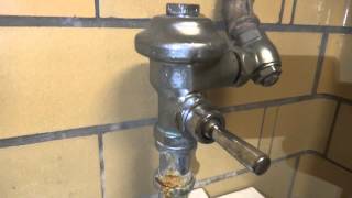 Bathroom Tour Vintage Crane Santon Toilet and Urinal [upl. by Shivers]