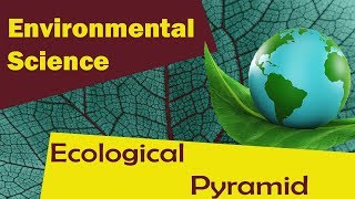 Ecological pyramid   Environmental Science [upl. by Libbey739]