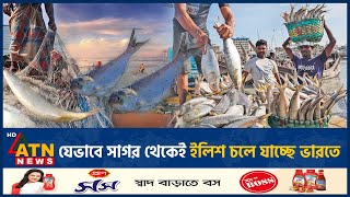 যেভাবে সাগর থেকেই ইলিশ চলে যাচ্ছে ভারতে  Hilsha  India  Bay of Bengal  ATN News [upl. by Lozar]