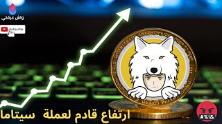 عملة saitama  saitama investissement 🚀 🚀 🚀 [upl. by Nonah]