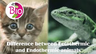 Difference between Ectothermic and Endothermic animals by Simply The Best BIO [upl. by Kcirej]