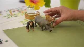 LANGUAGE ACTIVITY FOR YOUNG CHILDREN 3Period Lesson with Animals by JeanneMarie Paynel [upl. by Nuahsak]