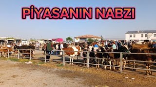 2 BÖLÜM KIRŞEHİR HAYVAN PAZARILİVESTOCK BAZAAR [upl. by Kimber]