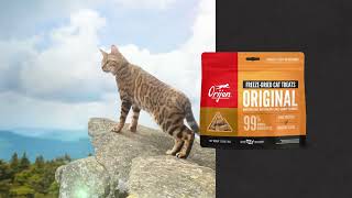 ORIJEN® FreezeDried Cat Treats [upl. by Cora]