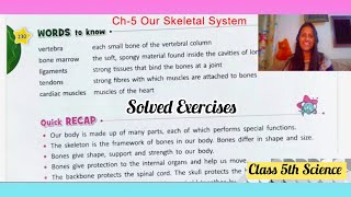 Ch5 Our Skeletal System Solved Exercises  Class 5th Science [upl. by Onirefes]