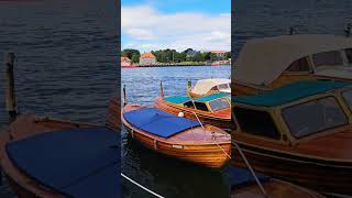 norway fredrikstad gamlebyen glomma river summer nature vacation foryou follow [upl. by Orton444]