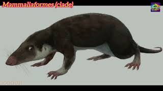 quotThe Paleocene Rise and Evolution of Modern Mammals Ancestorsquot Part 16 [upl. by Godliman]