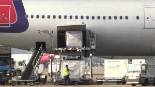 Lithium batteries Guidance for cargo and ramp personnel [upl. by Naharba546]