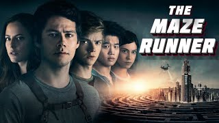 Why So Many People Missed the Point of the Maze Runner Trilogy [upl. by Tlihcox25]