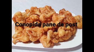 Conopida pane de post [upl. by Saito]