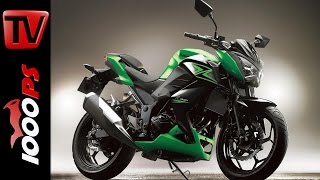 Kawasaki Z 300 2015  Specs Price Release [upl. by Seamus]