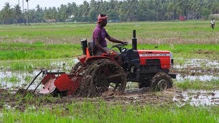 Mini Tractor VST180D HS 4W Puddling Excellent Miniature Paddy Tractor  Palleturi Village [upl. by Adamsun]