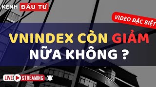 🔴LIVESTREAM 21112024  VNINDEX CÒN GIẢM NỮA KHÔNG   NHẬN ĐỊNH THỊ TRƯỜNG [upl. by Yrtnahc]