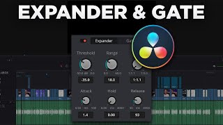 DaVinci Resolve 18 Expander amp Gate Fairlight Tutorial deutsch 2024 [upl. by Ainehs]