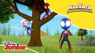 🕷 O spărtură în baraj  Păienjenelul Marvel și prietenii lui uimitori  Disney Junior România [upl. by Anyela225]