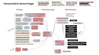 Intracerebral hemorrhage mechanism of disease [upl. by Varipapa]