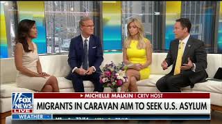 MICHELLE MALKIN FULL ONEONONE INTERVIEW ON FOX amp FRIENDS  FOX NEWS 4302018 [upl. by Bohon]