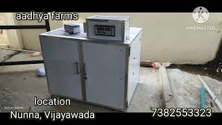 incubators forsale pandemkollu eggincubator aadhyafarms aseelmurga hatchery vijayawada [upl. by Lamak160]