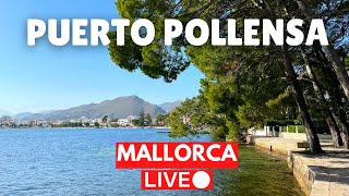 🔴 LIVE in Puerto Pollensa Majorca Mallorca  30 July 2023 [upl. by Bigford898]