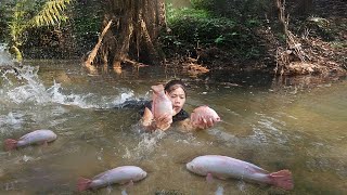 Skill catch red fish in river to cook for food and eating in forest [upl. by Fortna600]