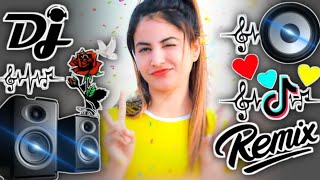 Munda Gora Rang Dekh Ke Diwana Ho Gaya ❣️❣️ Dj Song💙  Old Hindi Dj Song 🥀  Dj Remix Song 2024 [upl. by Brewer]