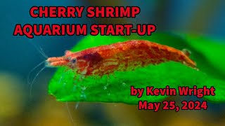 Cherry Shrimp Aquarium Start 2040525 [upl. by Stearn35]