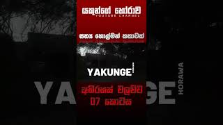 අභිරහස් වලව්ව 07 කොටස  sinhala holman katha sinhalaholmankatha horrortok viral foryou [upl. by Atrahc]