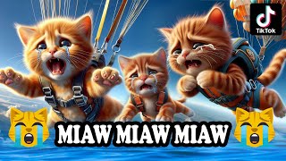 Miaw miaw miaw miaw Song sad cat story tiktok FULL😭 cat aicat catlover cats catsong aiimages [upl. by Anirda697]