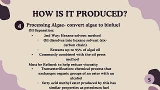 Powering the Future With Algae Biodiesel [upl. by Allison]