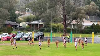 Round 12 Q2 Mooroolbark vs North Ringwood 20 July 2024 [upl. by Oletta661]