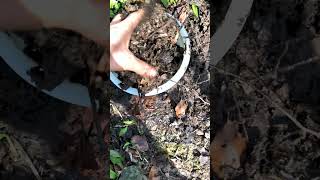 Je construis le terrarium de mes rêves  🌱 DIY Terrarium [upl. by Blondy]