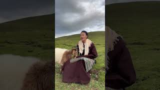 Tibetan Nomad Song Dok Lu In Nagchu Tibet  བོད་ཀྱི་འབྲོག་གླུ་སྙན་མོ། [upl. by Mayne544]