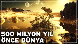 Dünya 500 milyon yıl önce nasıl bir yerdi  Dünyanın Belgesel Tarihi [upl. by Grimbald174]