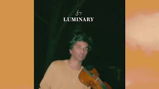 joel sunny  luminary original song  official audio [upl. by Latreece979]