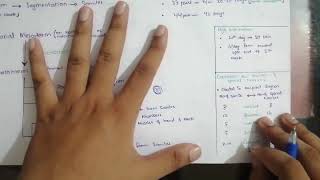 Formation of Somites Embryology 1  Paraxial Mesoderm  Easiest way to Remember [upl. by Tapes]