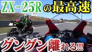 【四気筒ツエー】ニダボで追っても厳しい感じだった・・・【CBR250RR vs ZX25R】 [upl. by Nawor857]