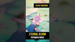 Eternal Bloom Shorts BGM [upl. by Lorianna231]