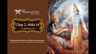 53 Bhagavadgita Chapter 2Śloka 14  Kartikeya das [upl. by Ellimak]