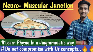 Neuromuscular Junction  Nerve Muscle Physiology  hindi  Ashish Agrawal [upl. by Syl]