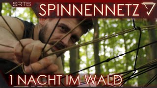 Experiment im Wald  Menschliches Spinnennetz [upl. by Akimit]