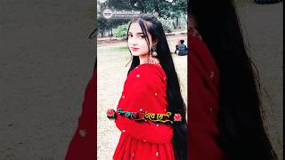 আমি স্বপ্নটা রোজ দেখি তোমায় নিয়ে  sofiker video fypシ palligramtv viral trending sofikervideo [upl. by Ru295]