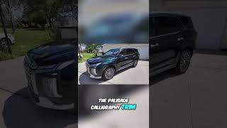 Luxury and Style of the Hyundai Palisade [upl. by Aldin]