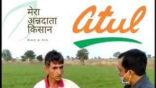 Ad zura Atul limited 24d 58 sl wheat herbicide वि ज़ुरा अतुल लिमिटेड गेहू चारामार दवाई २४D ५८ [upl. by Lambrecht]