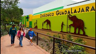 Zoologico Guadalajara birds 今天动物园的鸟 [upl. by Compte]