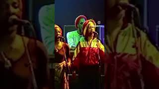 Bob Marley Forever bobmarley reggae reggaemusic reggaeton [upl. by Hayimas]