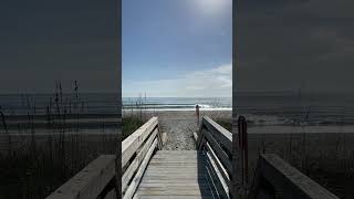 Yesterday morning in Murrells Inlet SC at Huntington Beach State Park [upl. by Ylas]