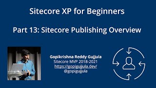 Part 13 Sitecore Publishing Overview [upl. by Nirmak733]